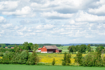 Barn at a farm in a rural landscape view