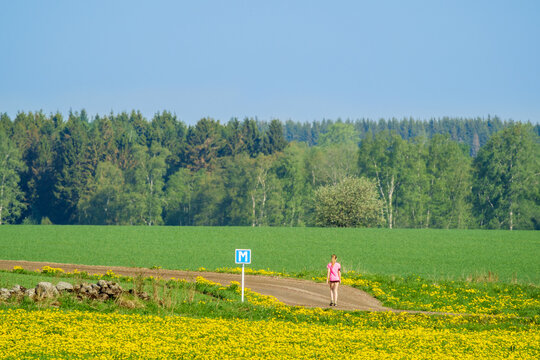 Girl walking on a dirt road with flowering dandelions on a meadow in a rural landscape
