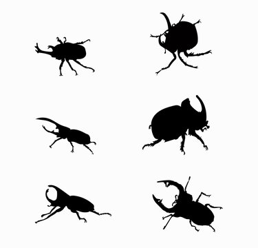 Insect silhouettes design