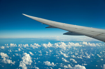 Fototapeta premium Wing of an airplane flying over morning clouds. View on cloud and blue sky through the airplane window.