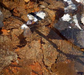 Interesting abstract pattern of leaves, ice and shadows in the Bears Ears wilderness area of Southern Utah.  