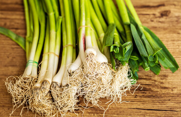 Close up of Raw Green Fresh  Garlic 