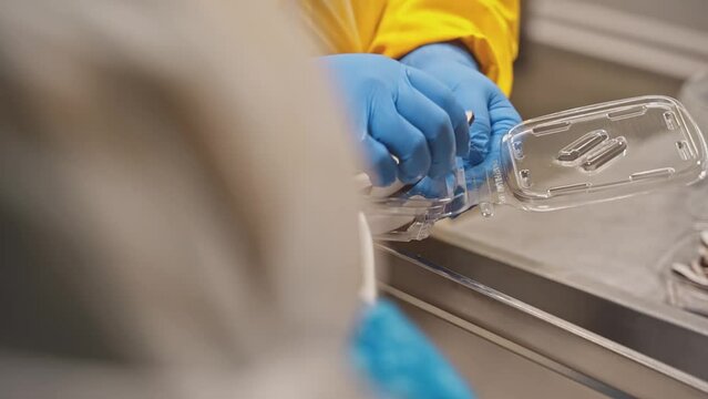 Sliced Coconut in Package Workers Preparing Healthy Snacks Fruit Bio Factory 