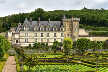 Fototapeta na wymiar Frankreich - Villandry - Schloss Villandry