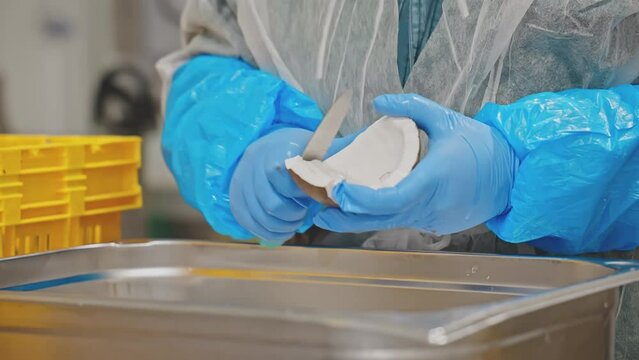Sliced Coconut in Package Workers Preparing Healthy Snacks Fruit Bio Factory 