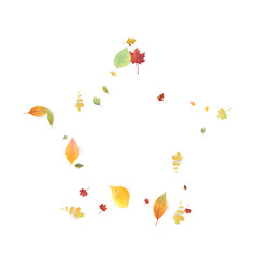 Leaves Falling Autumn Foliage Chaotic Leaf Flying