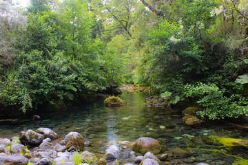Bosques