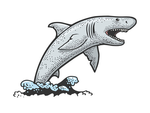 shark jumps out of water color sketch engraving vector illustration. T-shirt apparel print design. Scratch board imitation. Black and white hand drawn image.