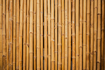 Yellow bamboo old fence. Close up of bamboo wall texture background for interior or exterior design.