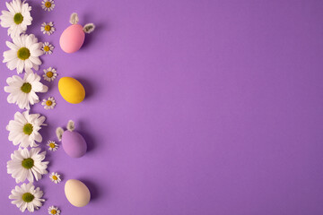 Beautiful composition for serving the Easter table. Row of pastel colored eggs, pink, blue and yellow, white chamomile flower, chrysanthemum on purple background. Happy Easter greeting card. Top view