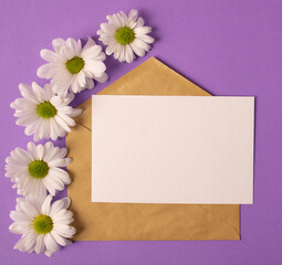 Greeting card concept for valentine's day, wedding or mother's day, women's day. Open envelope with a blank sheet of paper and beautiful daisies, chrysanthemums on a purple background