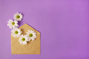 Craft envelope with camomile, white chrysanthemums on purple background. Top view. Greeting card concept for valentine's day, wedding or mother's day, women's day.