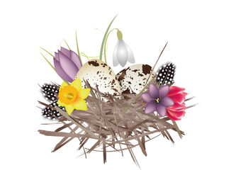 Frühlings Nest mit Eier,Federn und Frühlingsblüten