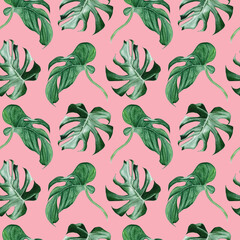 Watercolor seamless pattern with monstera leaves on pink background