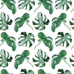 Watercolor seamless pattern with monstera leaves on white background