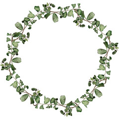 Watercolor herb wreath 