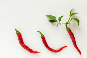 Top view of red ripe chili pepper with branch. De cayenne long slim chili cultivar.