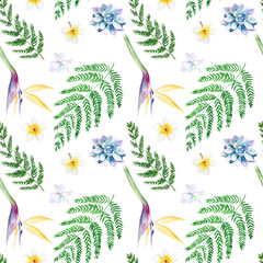 Fototapeta na wymiar Watercolor seamless pattern with fern, strelitzia, succulents on white background