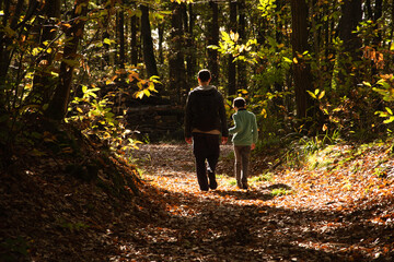 Father and son (back view; unrecognizable) walking in picturesque autumn forest in French countryside. Natural lifestyle concept. Family vacation background. Fatherhood.  - Powered by Adobe