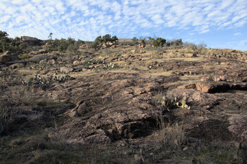 a landscape of granite rock and cactus with puffy clouds overhead