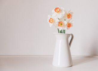Beautiful bouquet of fresh white and orange daffodil flowers in full bloom in vase against white background. Copy space for text. Spring blossoms. Still life with bunch of narcissuses.