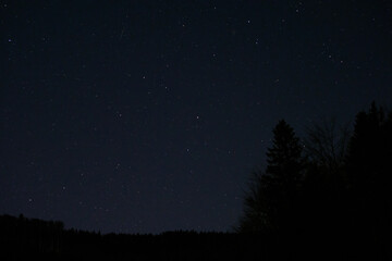 Stars in the night sky.