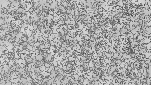 顕微鏡で見た細菌のイメージ