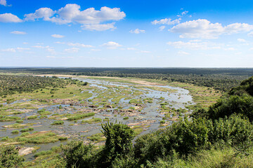 African river