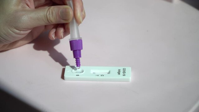 Positive test result by using rapid test for omicron coronavirus variant,quick fast antibody point of care testing.Swab in the hospital laboratory