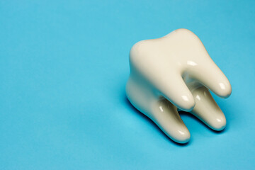 White tooth model on blue background with copy space