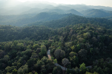 Naklejka premium high angle tropical forest and road into the forest