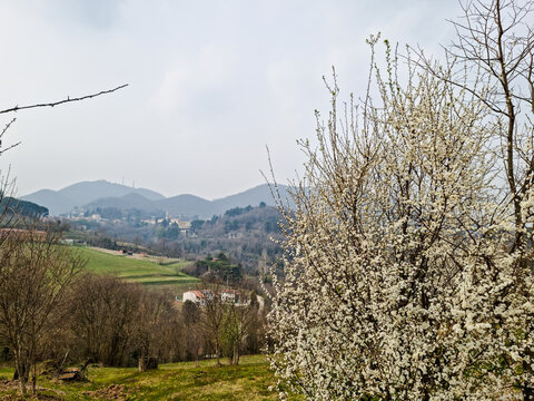 Photograph of the town of Teolo nestled between the Hills of the Euganean Hills. Taken on a cold day in March 2022 
