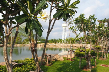 walk near the lake with a beautiful view