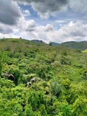 Obraz premium landscape with trees and clouds