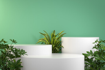 3d Rendering Step White Podium Display, Tropical Plant Concept Illustration Background