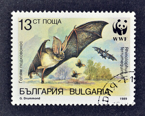 Cancelled postage stamp printed by Bulgaria that shows Greater Horseshoe Bat (Rhinolophus ferrumequinum), circa 1989.