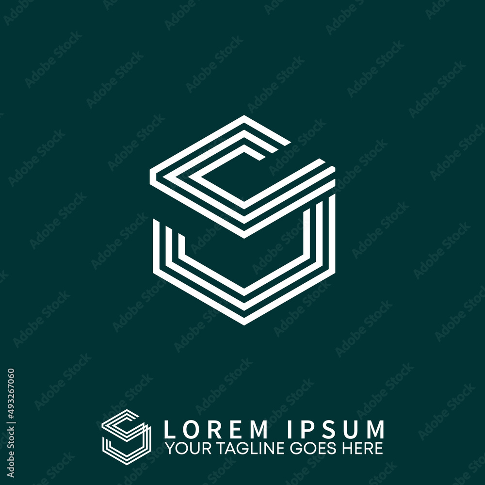 Poster letter or word s font in 3d hexagon 3 lines image graphic icon logo design abstract concept vector s