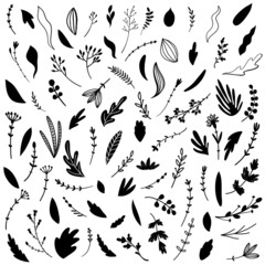 Plants and herbs. Set of icons on a white background