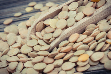 Green lentil as healthy ingredient of various dishes. Source vitamins, minerals and fiber