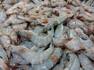 Fresh shrimps from top view selling in the supermarket, shrimps background, close up.