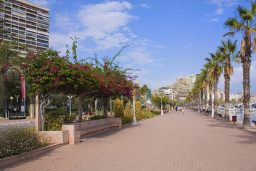 Pedestrian alley near a Marina in Alicante, Spain 