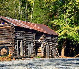 Arkansas Log Cabin Still Standing
