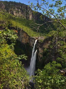 waterfall in the forest