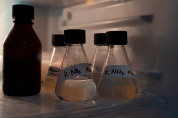 Chemicals stored in the laboratory fridge
