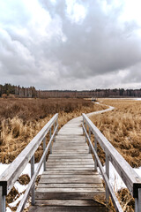 Olsina educational trail not far from Cesky Krumlov and Lipno water reservoir,Czech Republic.Wetland,marshes,bogs and floodplain forests crossed by wooden boardwalk.Tourist natural trail.Hiking day