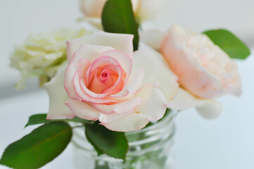 rose, roses or flowers in a vase