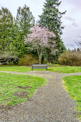 Spring Blossoms And Bench 3