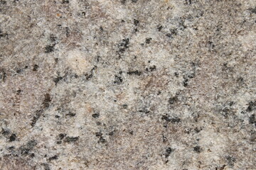 gray granite stone slab close up