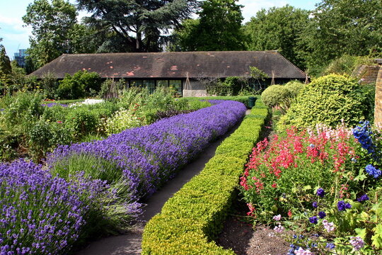 Community Garden in Park Hill, Croydon, UK.