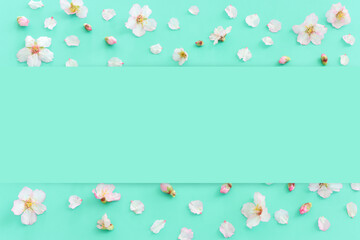 image of spring cherry blossoms tree over mint pastel background